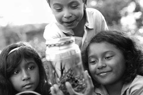 Image of kids with a bug jar