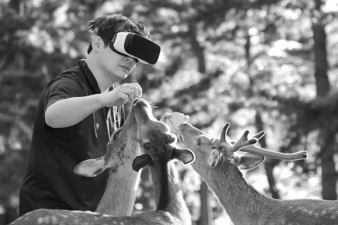 Person interacting with deer wearing virtual reality goggles