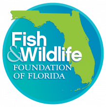 Fish & Wildlife Foundation of Florida logo