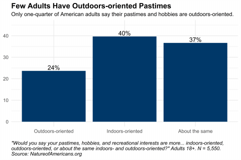 Graph depicting orientation in adults' pastimes, hobbies, and interests