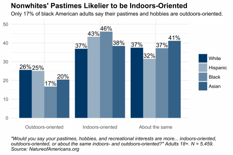 Graph depicting the orientation of pastimes, hobbies, and interests for respondents, broken out by race and ethnicity.