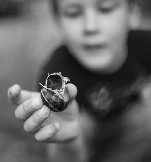 a boy with a snail shell