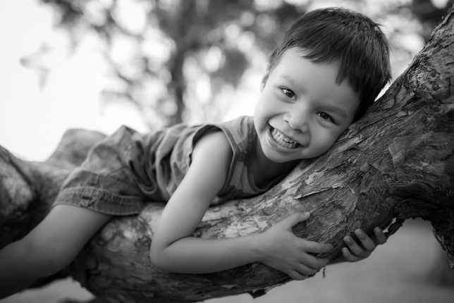 Boy climbing tree